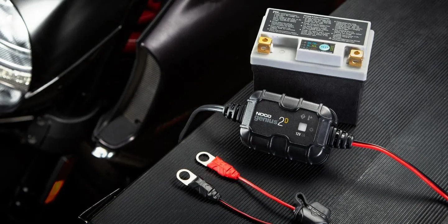 2A Direct-Mount Battery Charge